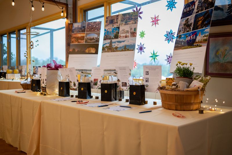 A display of silent auction items at BeeBash, showcasing a variety of unique and exclusive items.