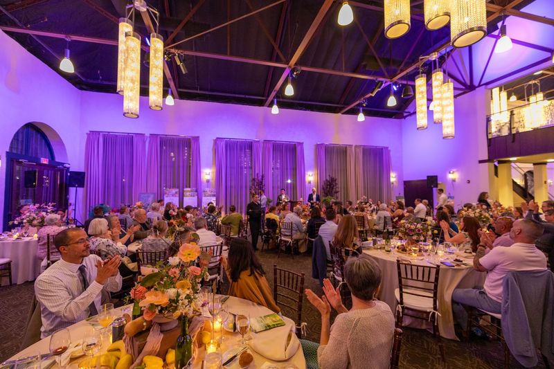 An image from a past Spring Benefit