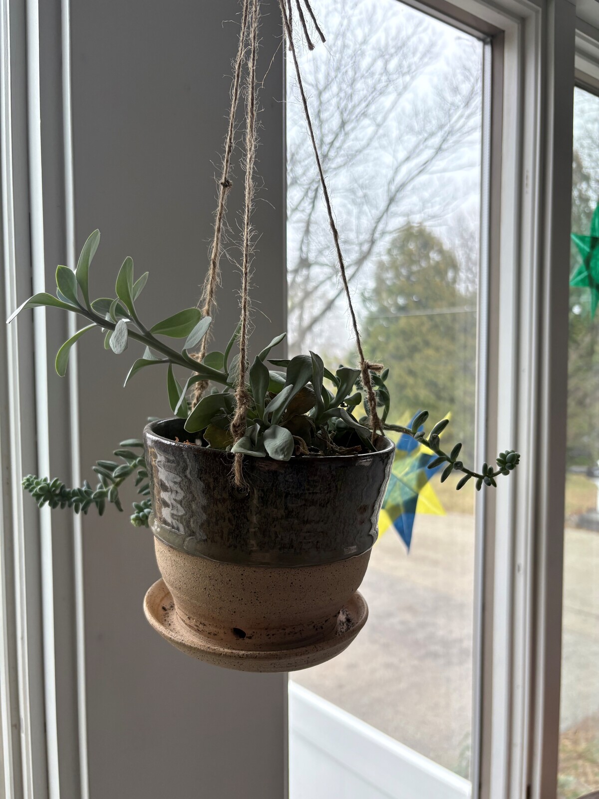 Creswell Pottery: Bird Bath/Feeder and Flower Planter