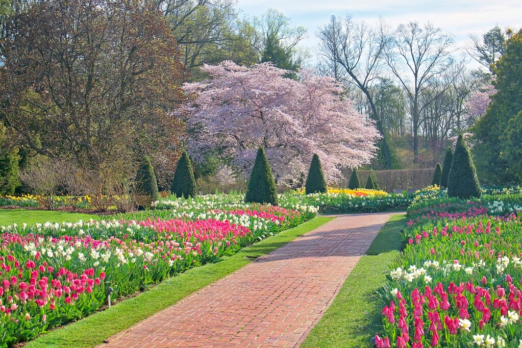 Experience the Beauty of Longwood Gardens