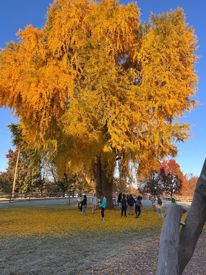 Needle Felted Wall Hanging by Judy Irwin