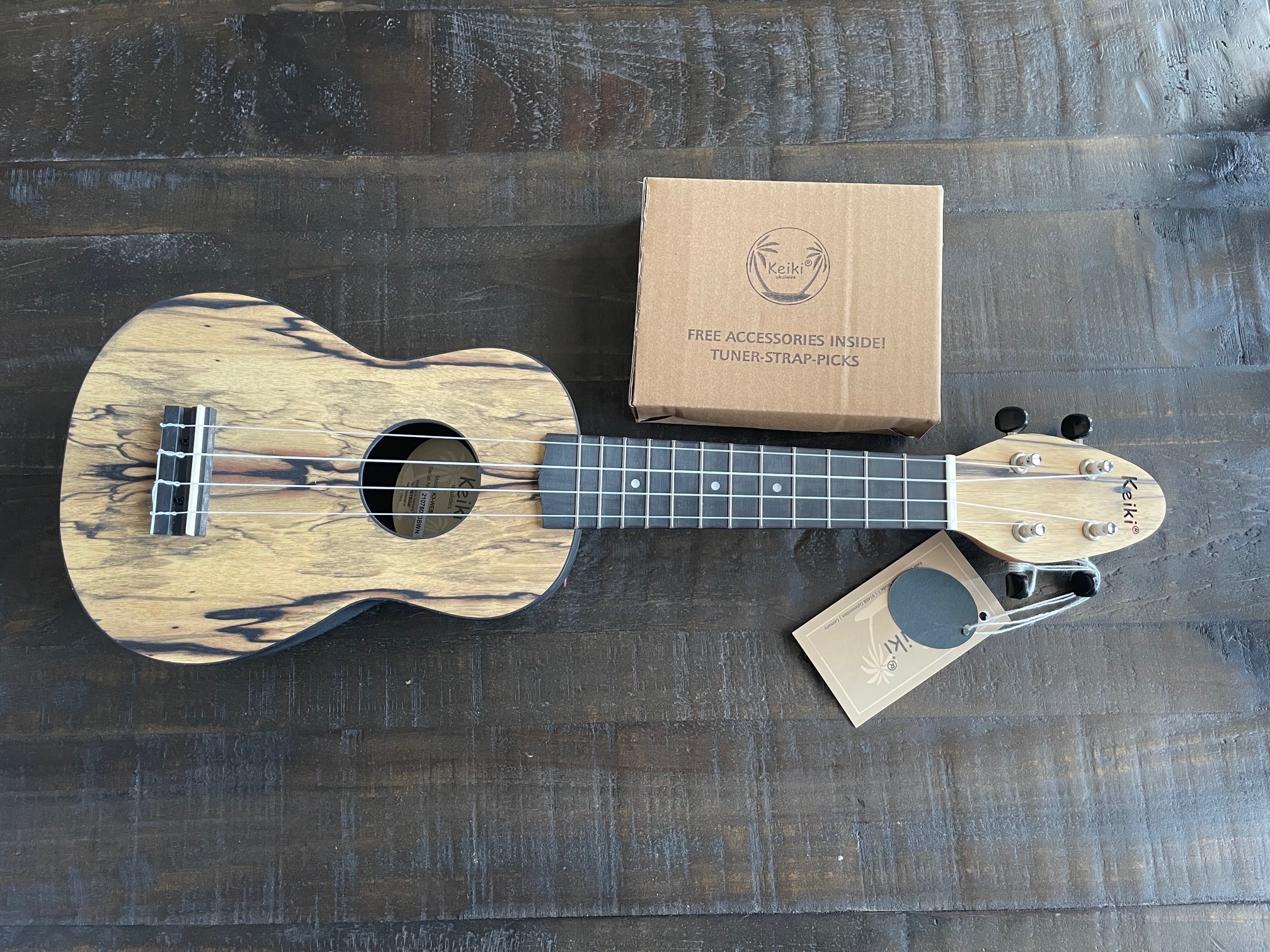 Ukulele Kit