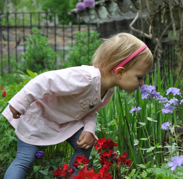 Pandora's Garden: Nature Exploration Basket and Discount Voucher towards Nature Class Session