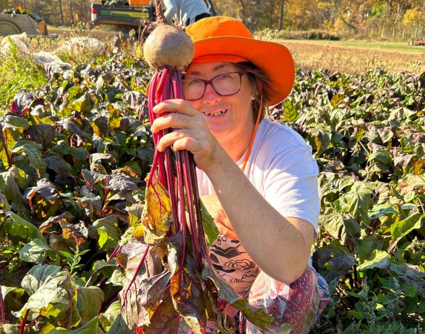 Sankanac CSA Biodynamic Vegetable Share